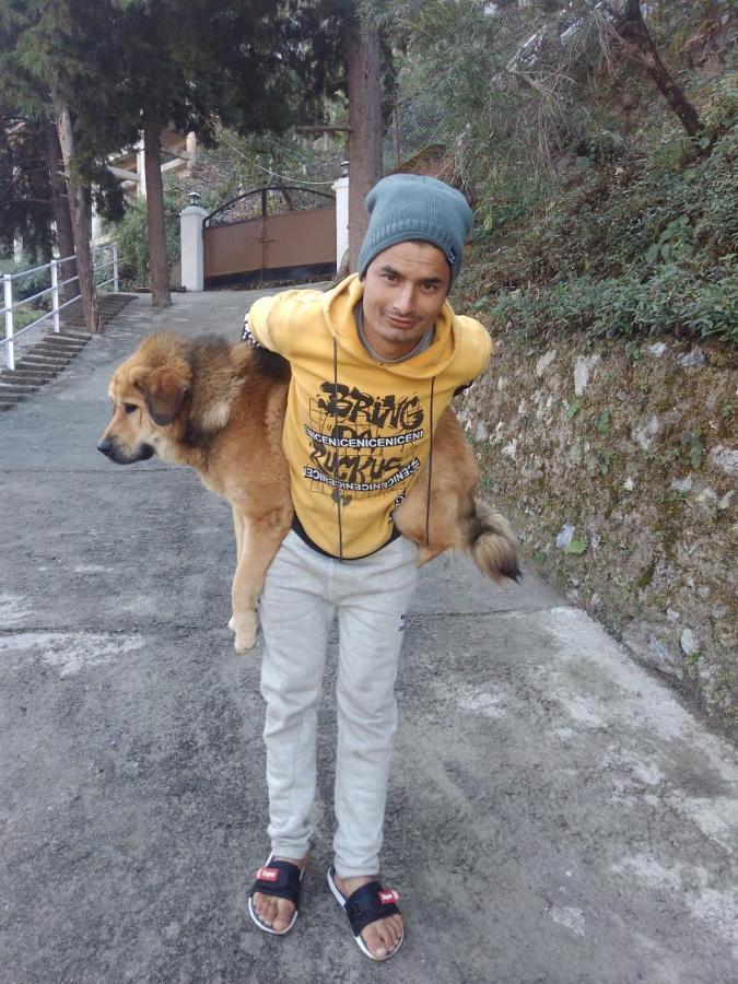 The Brigadiers Cottage, Mussoorie Eksteriør bilde